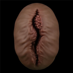LoveToy Masturbateur Pussy Alien's Pie n°1 Marron
